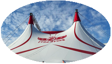 circus_28_4_2022